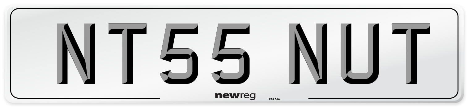 NT55 NUT Number Plate from New Reg